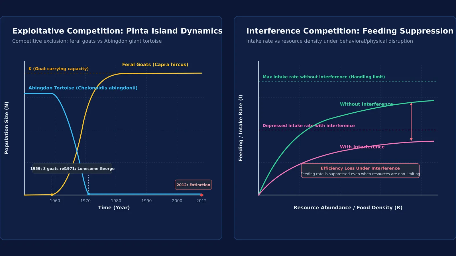 Diagram showing competitive exclusion population curves and interference competition feeding intake suppression