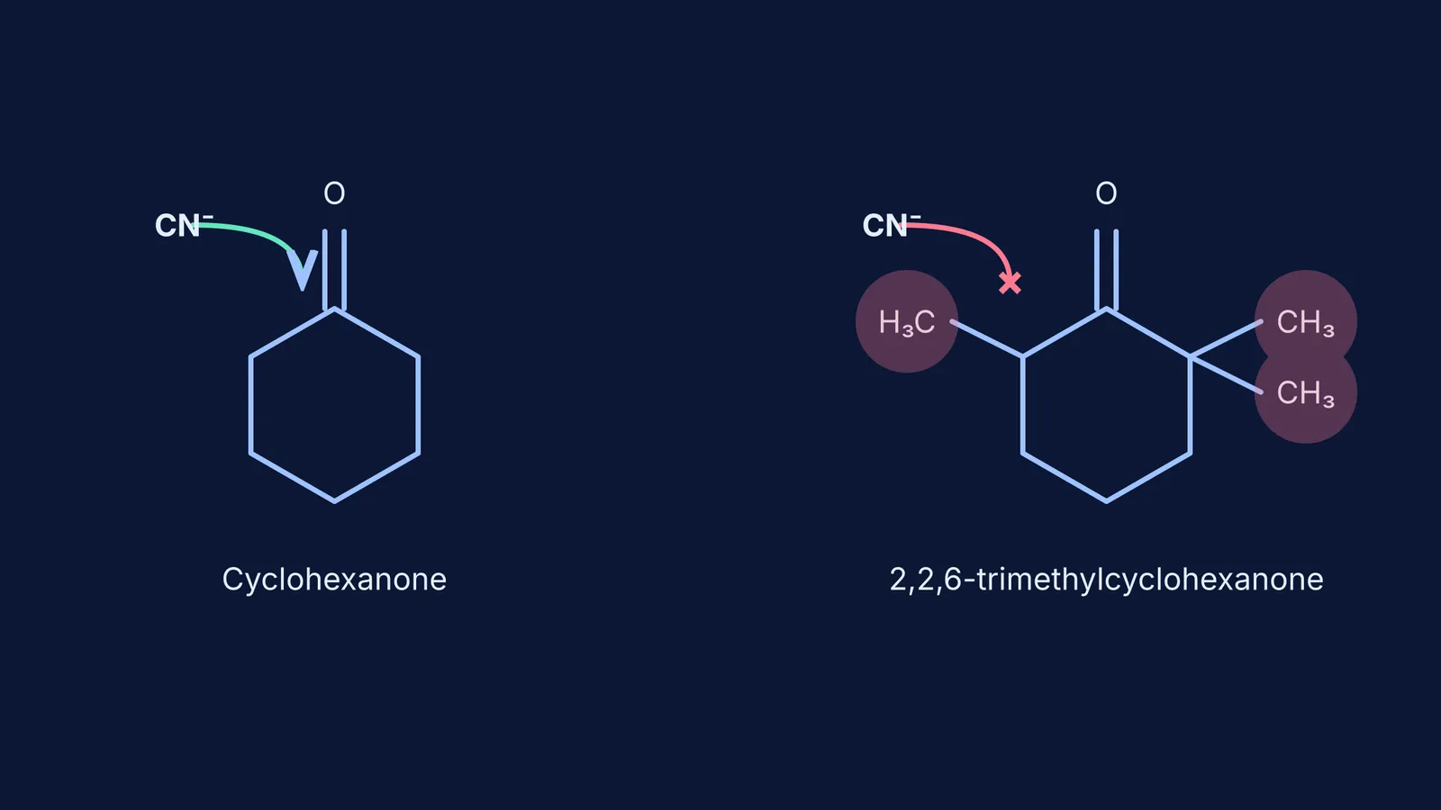 Diagram showing cyanide attacking cyclohexanone but blocked in 2,2,6-trimethylcyclohexanone.