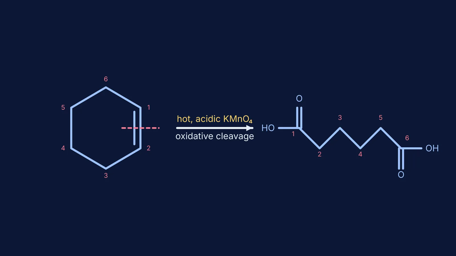 Diagram showing cyclohexene cleaved by hot acidic KMnO4 into adipic acid