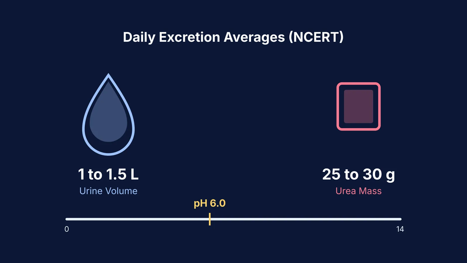Diagram showing daily urine volume, urea mass, and a pH 6.0 scale.