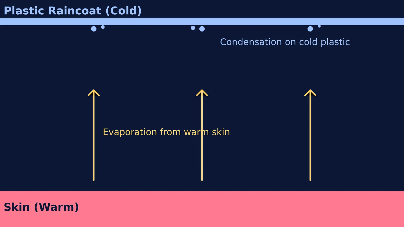 Diagram showing evaporation from warm skin and condensation on a cold plastic raincoat