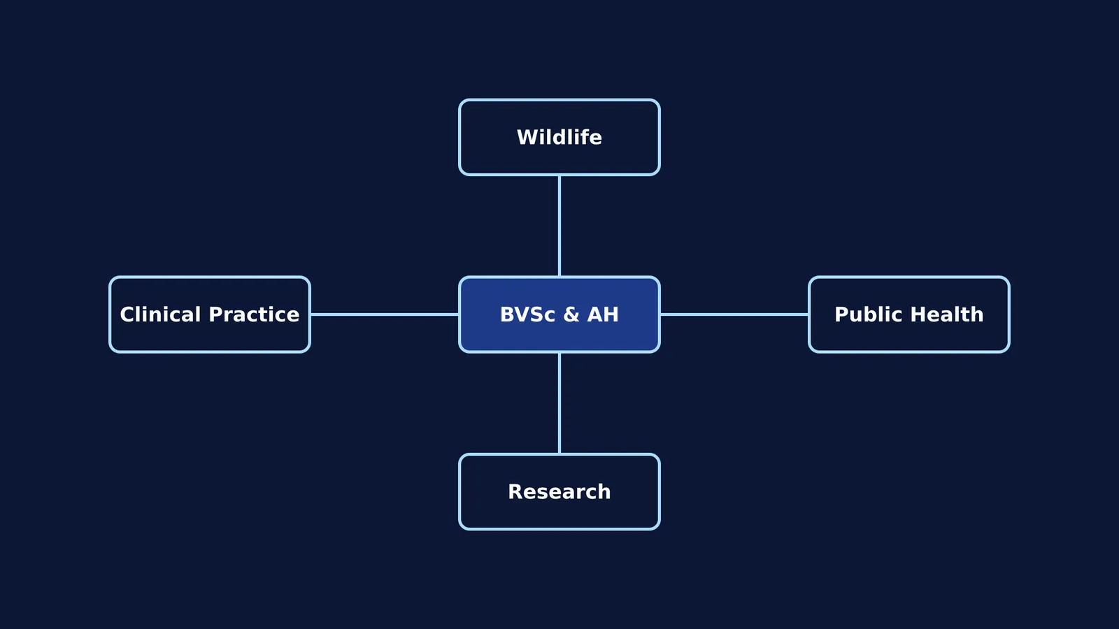 Diagram showing four career paths branching from a BVSc degree