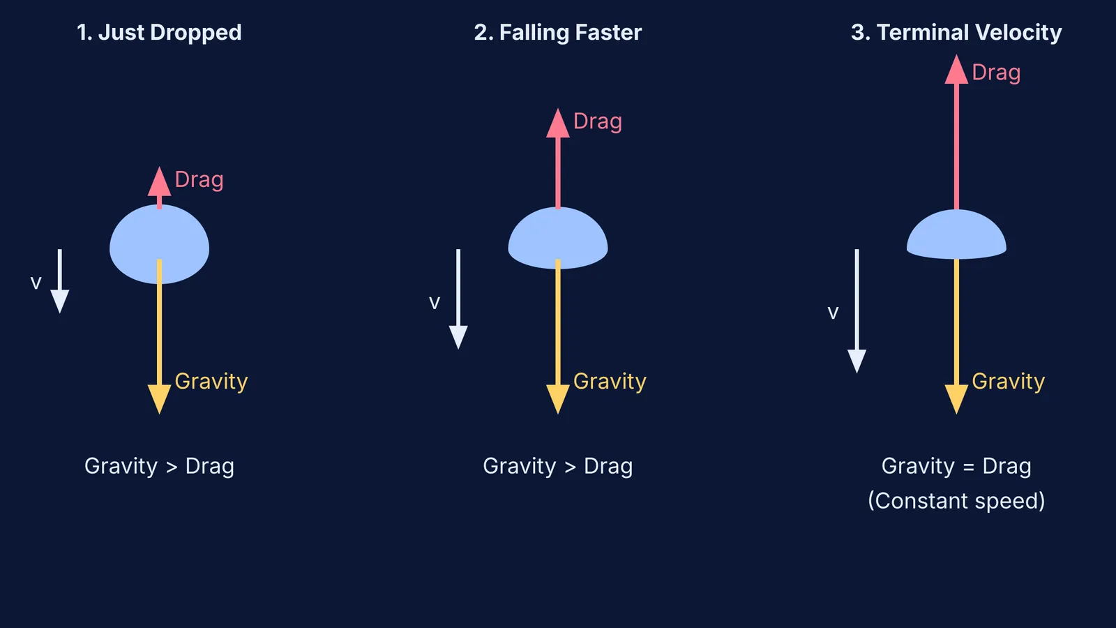 Diagram showing gravity and drag balancing on a falling raindrop