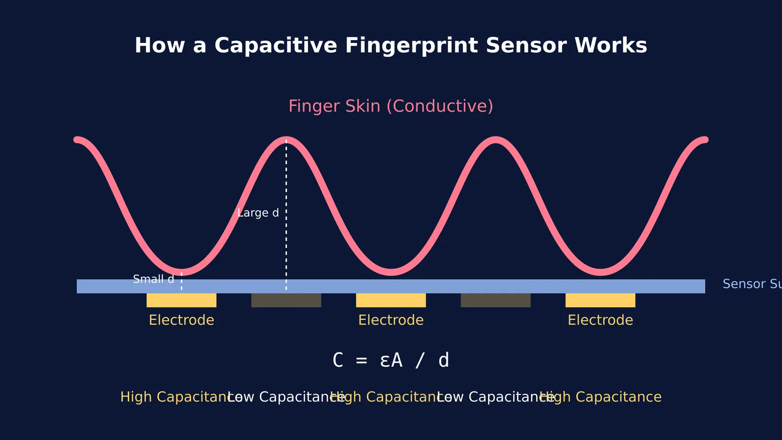 Diagram showing how ridges and valleys affect the capacitance in a fingerprint sensor