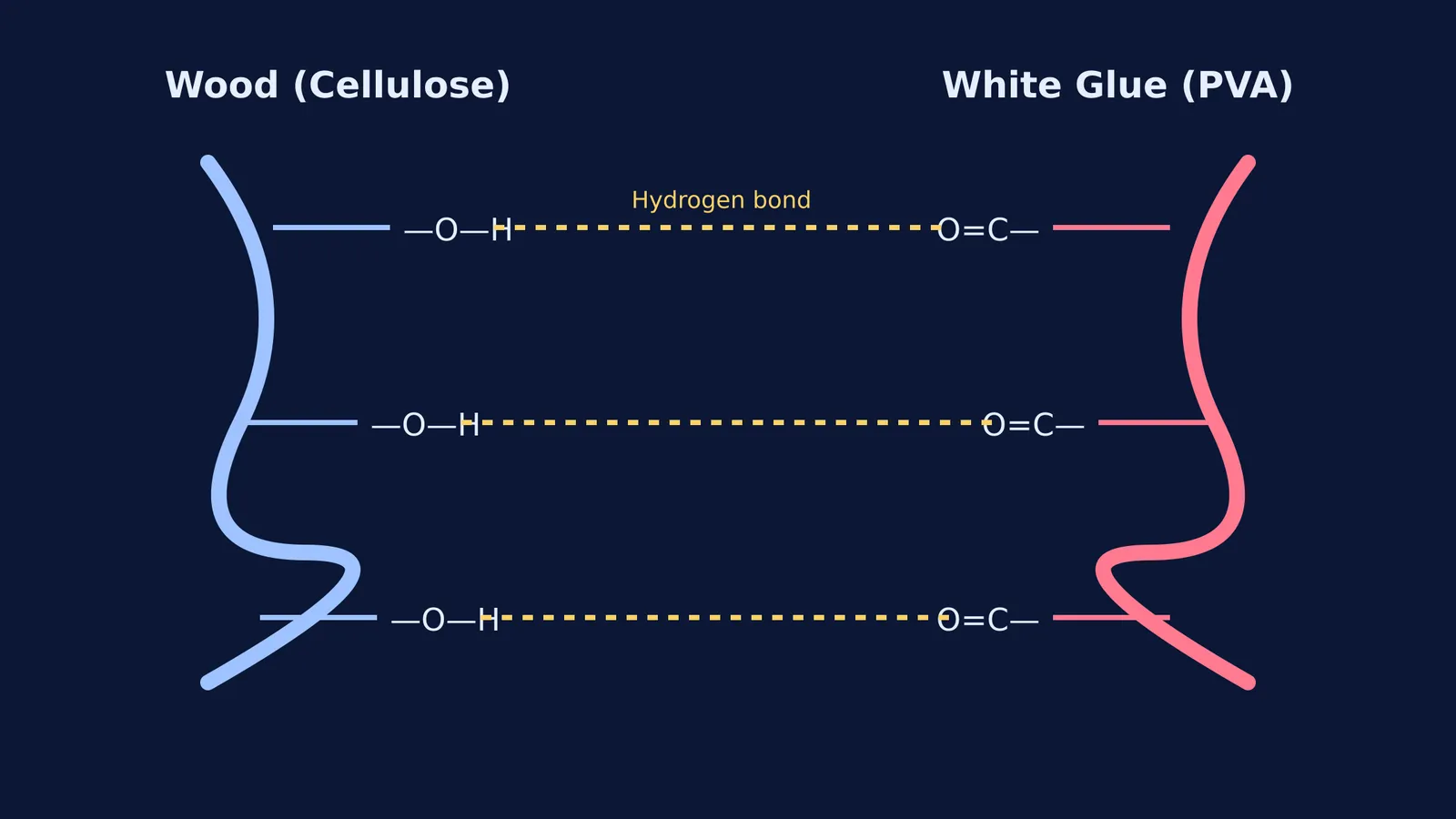 Diagram showing hydrogen bonds between cellulose and polyvinyl acetate.