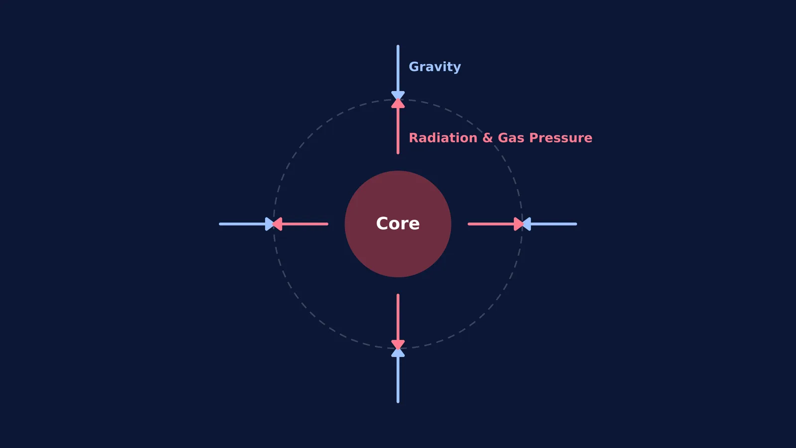 Diagram showing inward gravity balancing outward radiation and gas pressure inside a star.