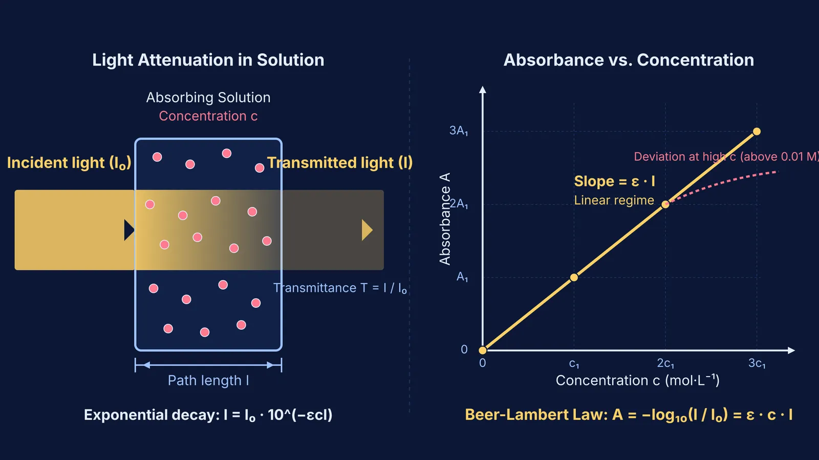 Diagram showing light attenuation through a solution cuvette and the resulting linear absorbance curve