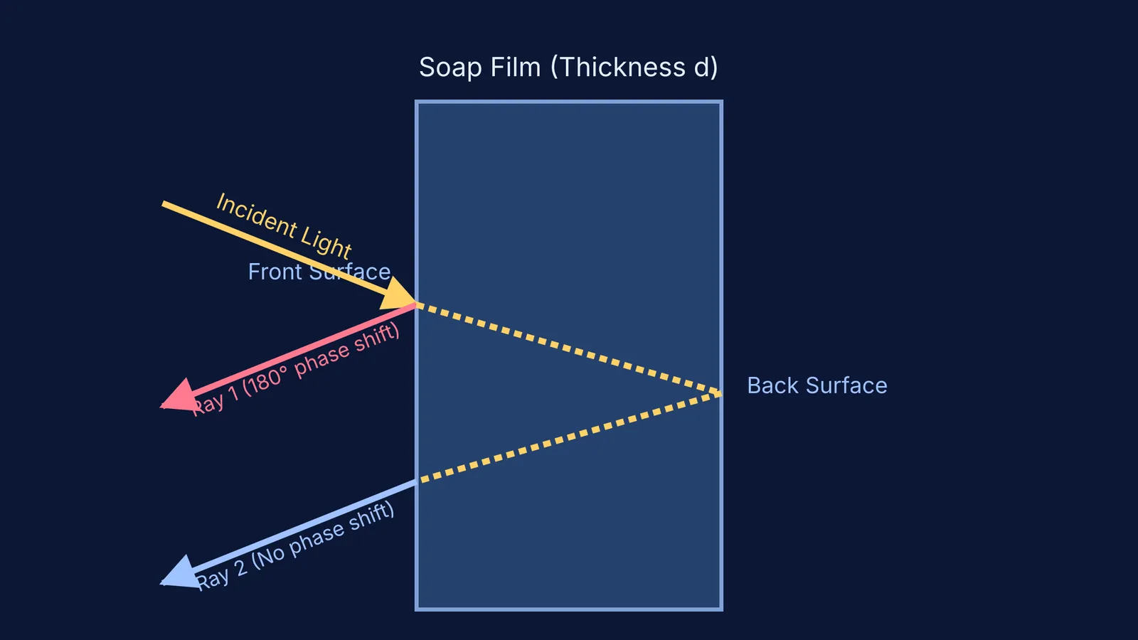 Diagram showing light refracting and reflecting in a thin soap film.