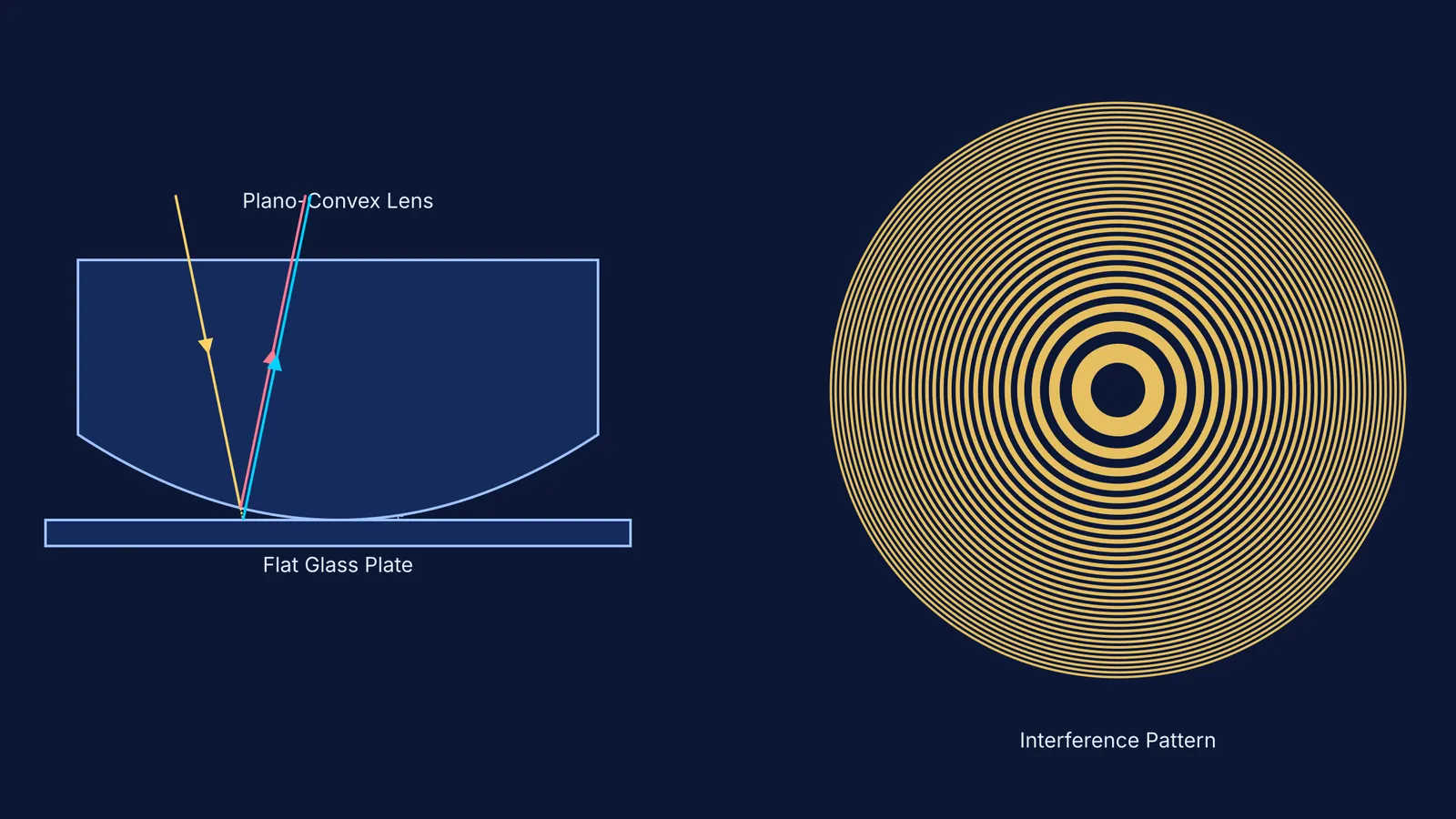 Diagram showing Newton's rings setup and the resulting concentric interference pattern.