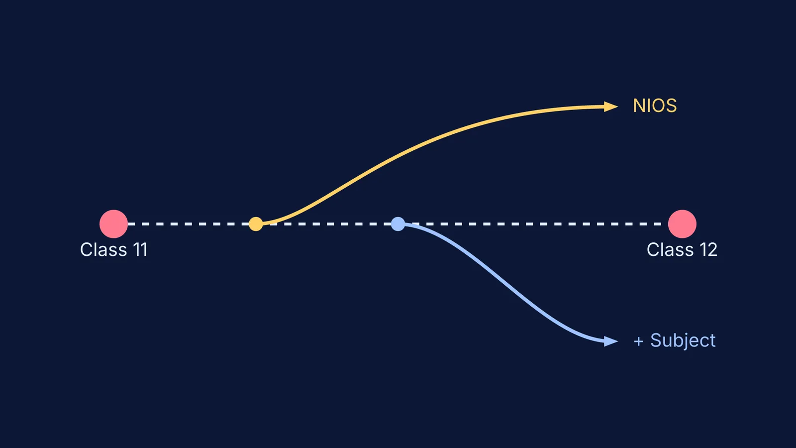 Diagram showing paths branching from Class 11 to Class 12, NIOS, and additional subjects.