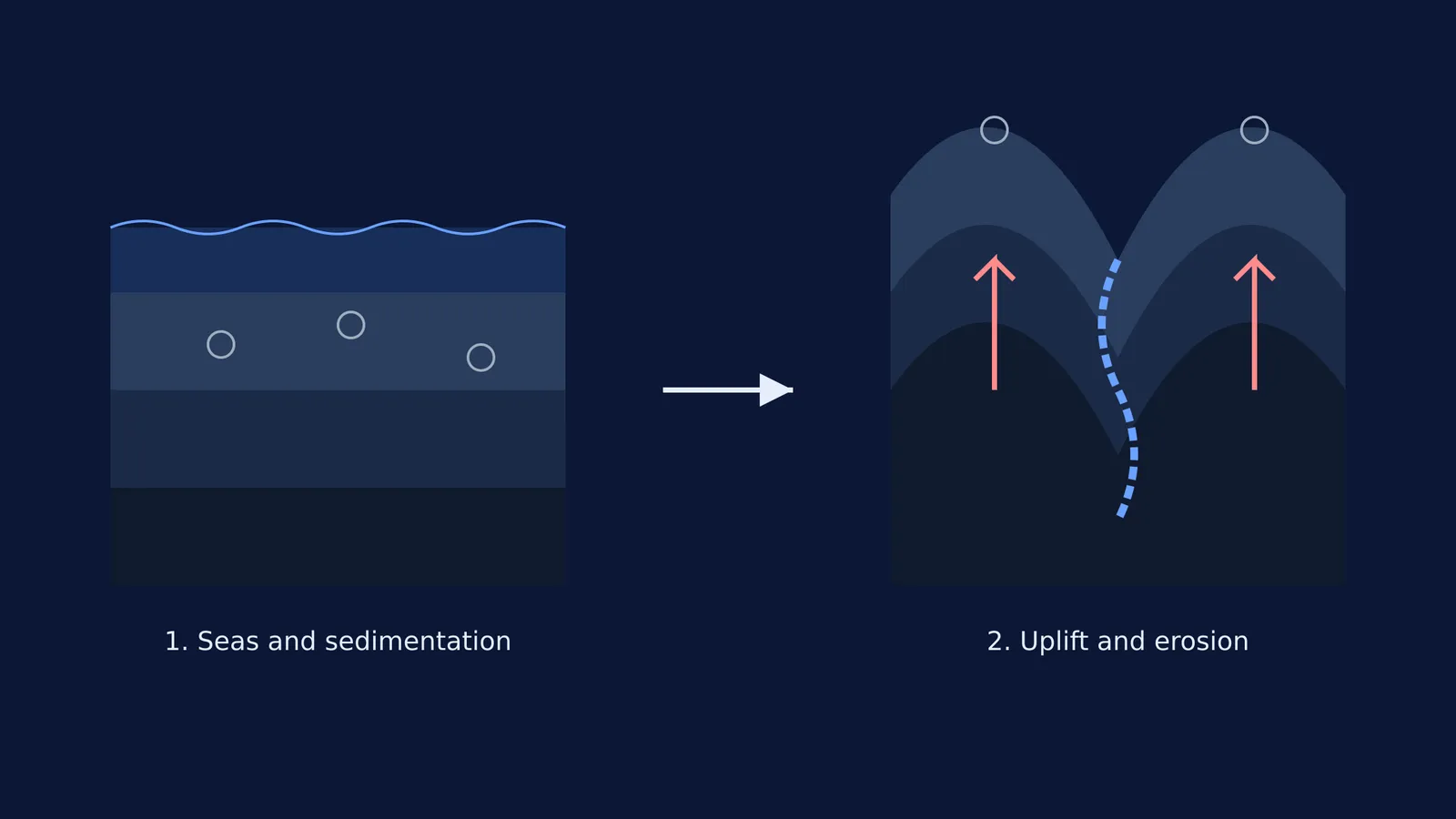 Diagram showing rock strata forming underwater, then rising into mountains with fossils.
