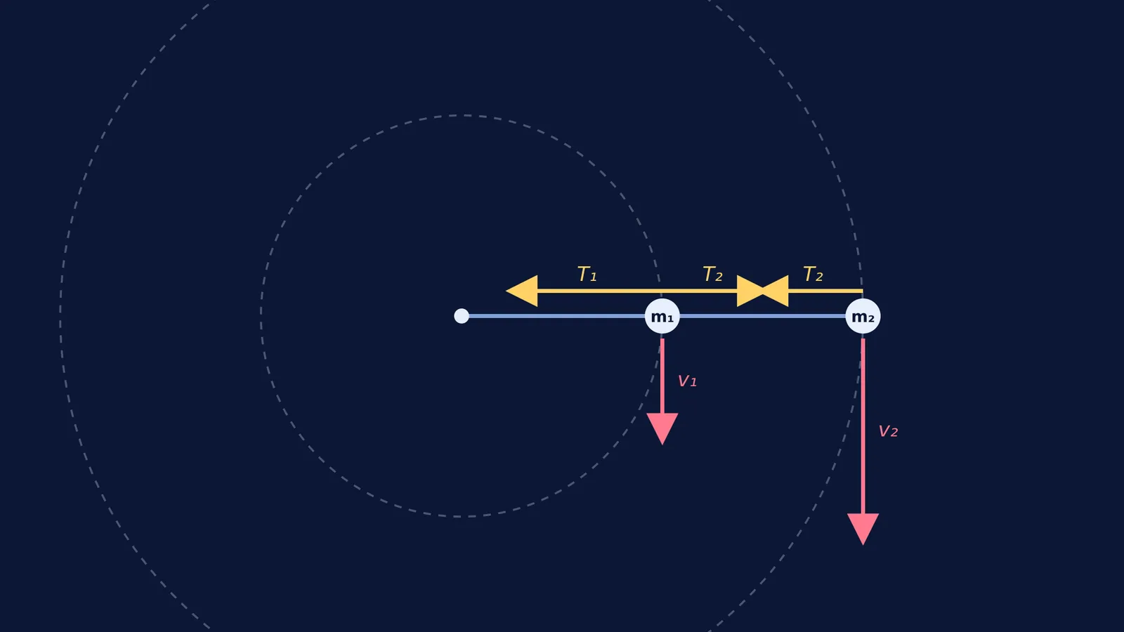 Diagram showing tension forces on two masses whirled in a circle