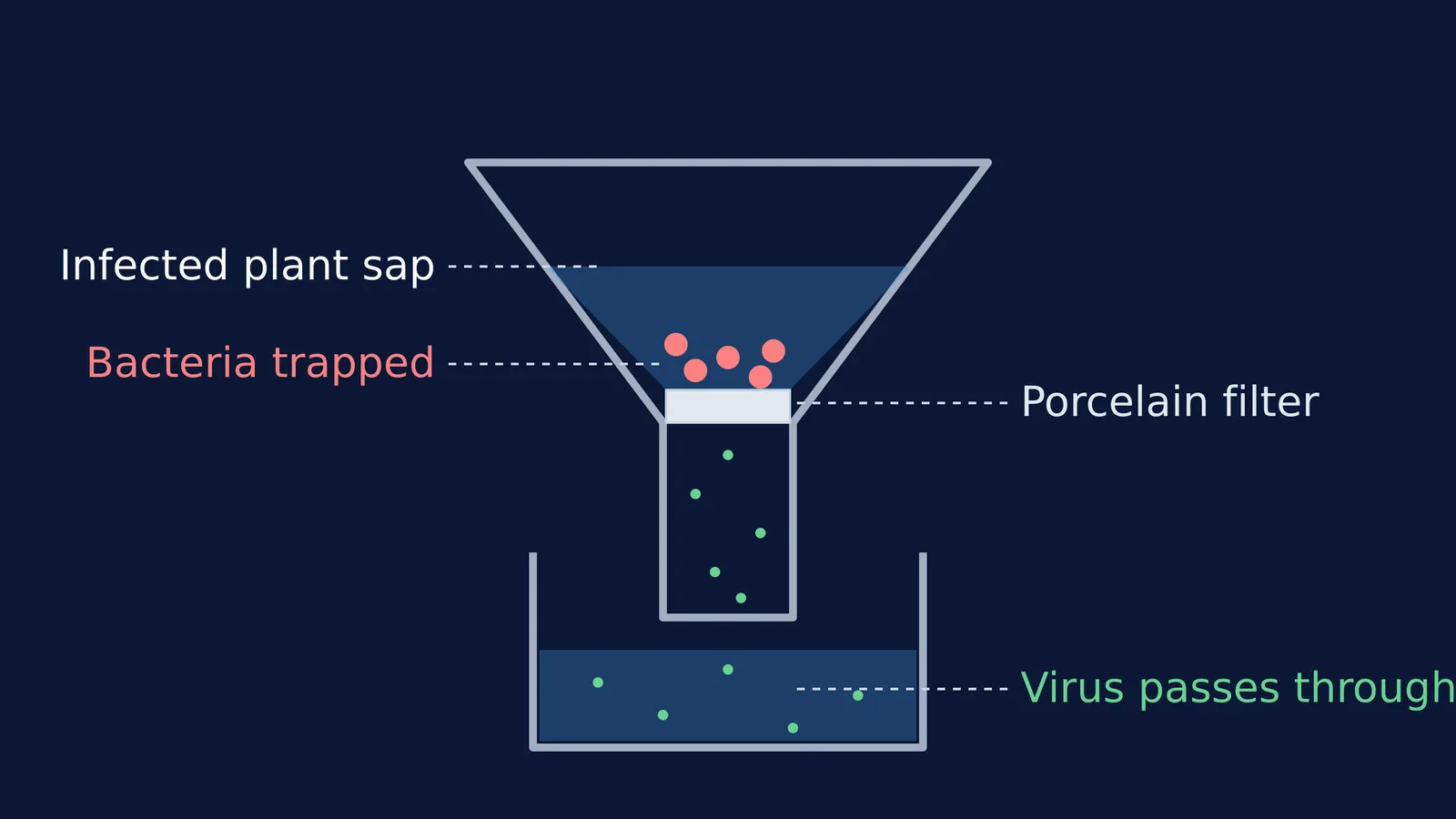 Diagram showing the filtration of tobacco mosaic virus through a bacteria-proof porcelain filter