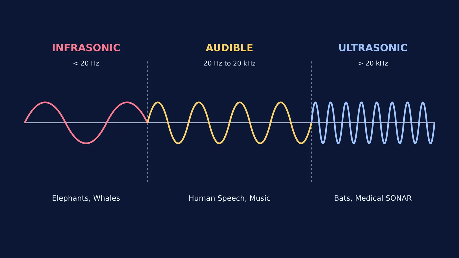 Diagram showing the frequency ranges for infrasonic, audible, and ultrasonic sound.