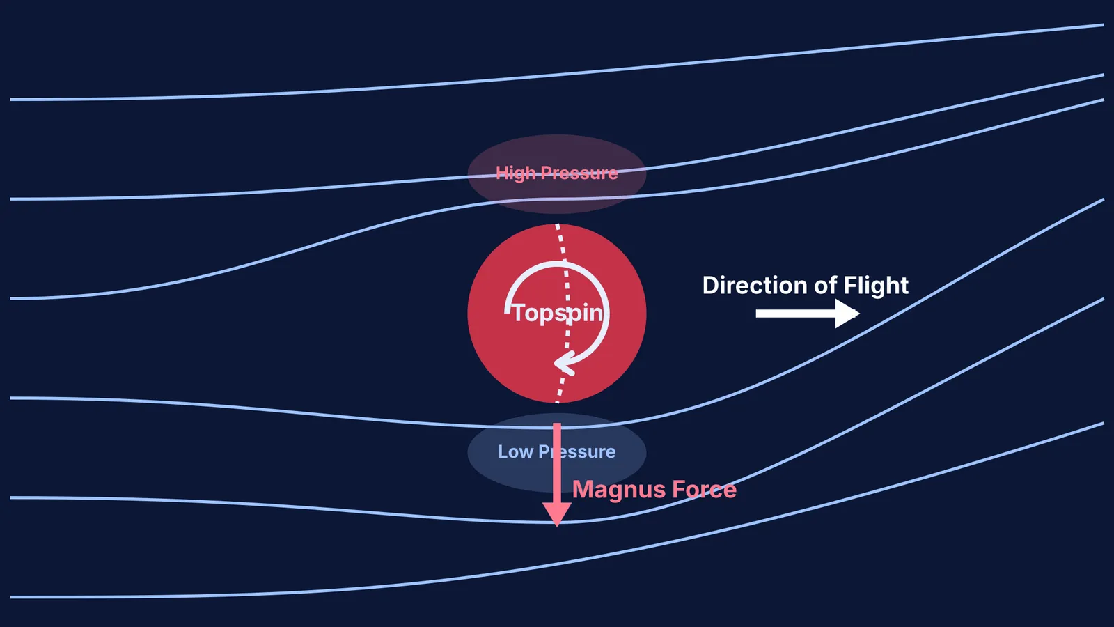 Diagram showing the Magnus effect causing a spinning cricket ball to dip