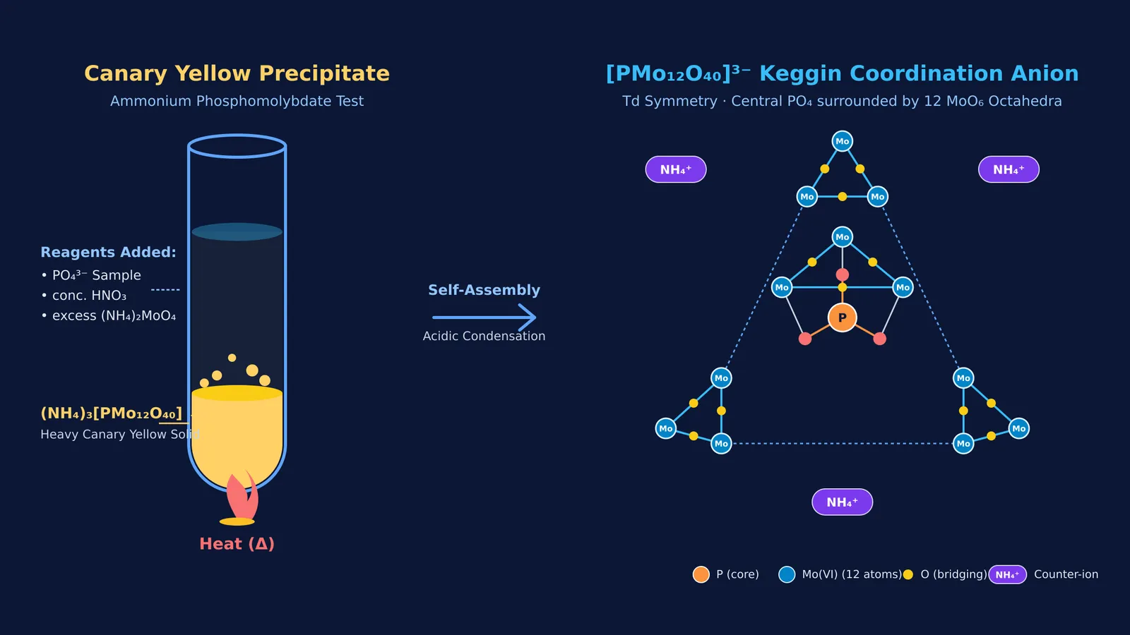 Diagram showing the phosphate ammonium molybdate test and Keggin phosphomolybdate cluster geometry