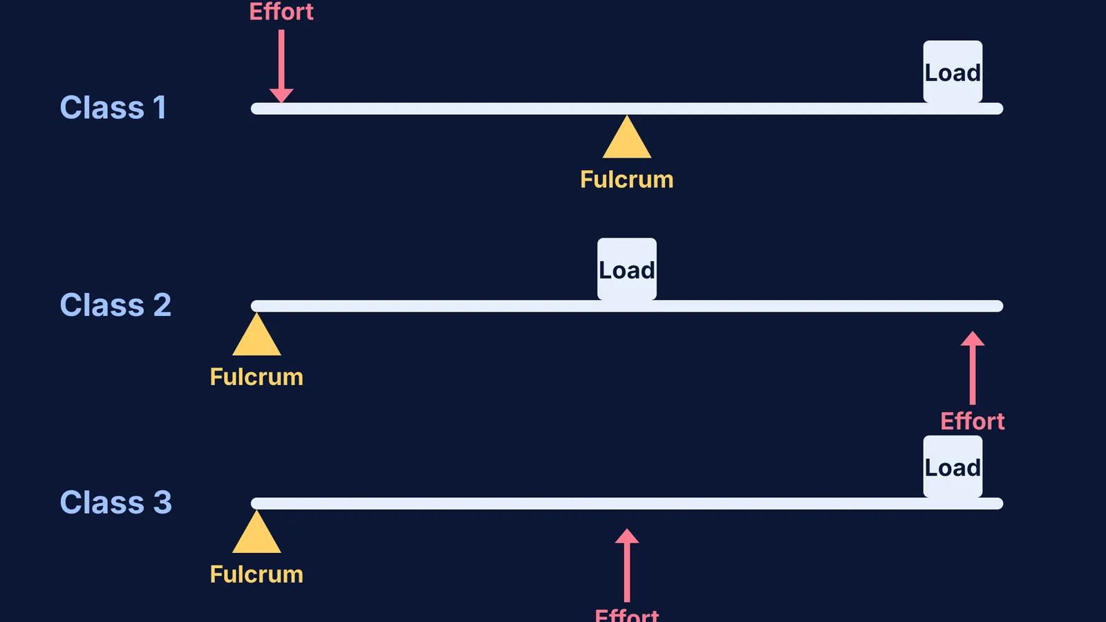 Diagram showing the positions of the fulcrum, load, and effort in three lever classes.