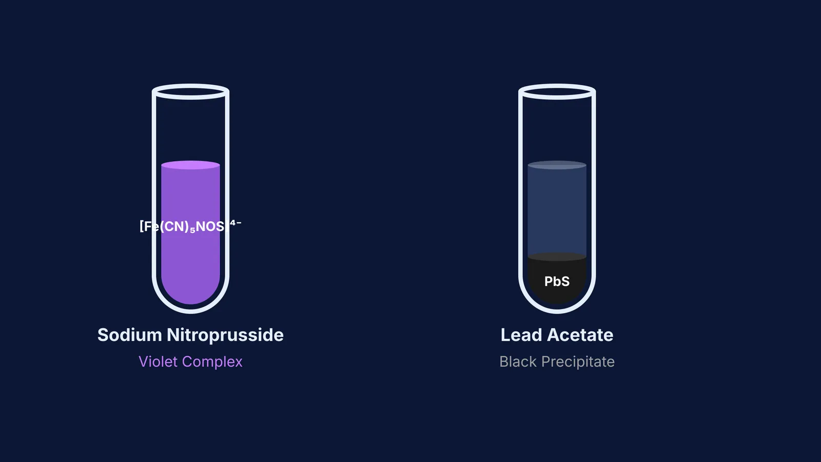 Diagram showing the violet complex of sodium nitroprusside and black precipitate of lead acetate tests for sulphide.
