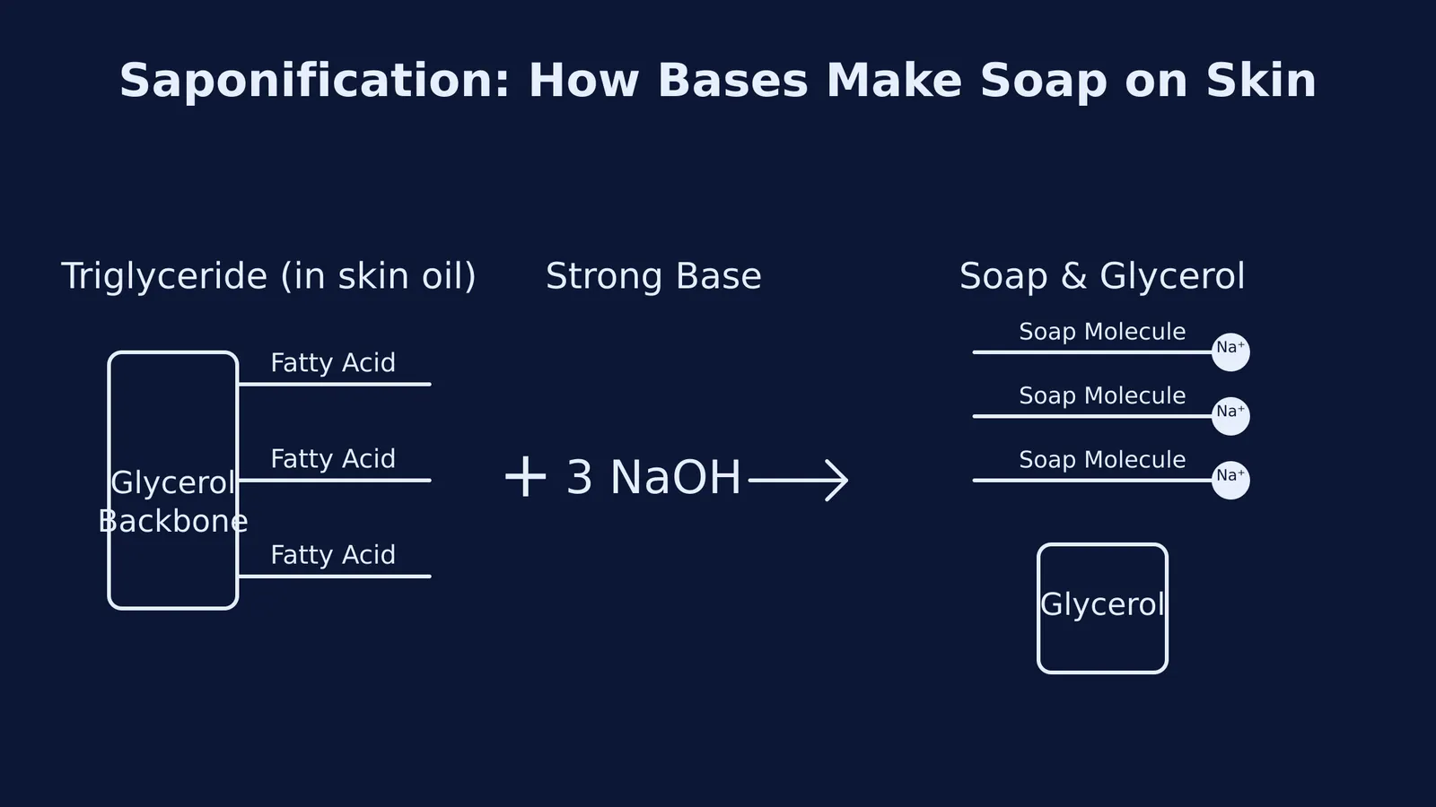 Diagram showing triglyceride reacting with 3 NaOH to produce glycerol and three soap molecules