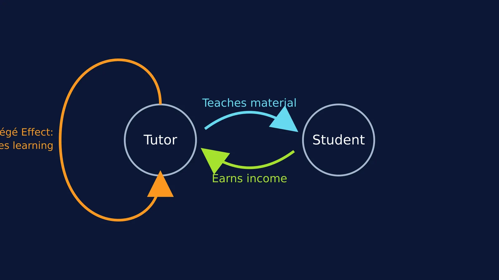 Diagram showing tutoring cycle with income and protégé effect