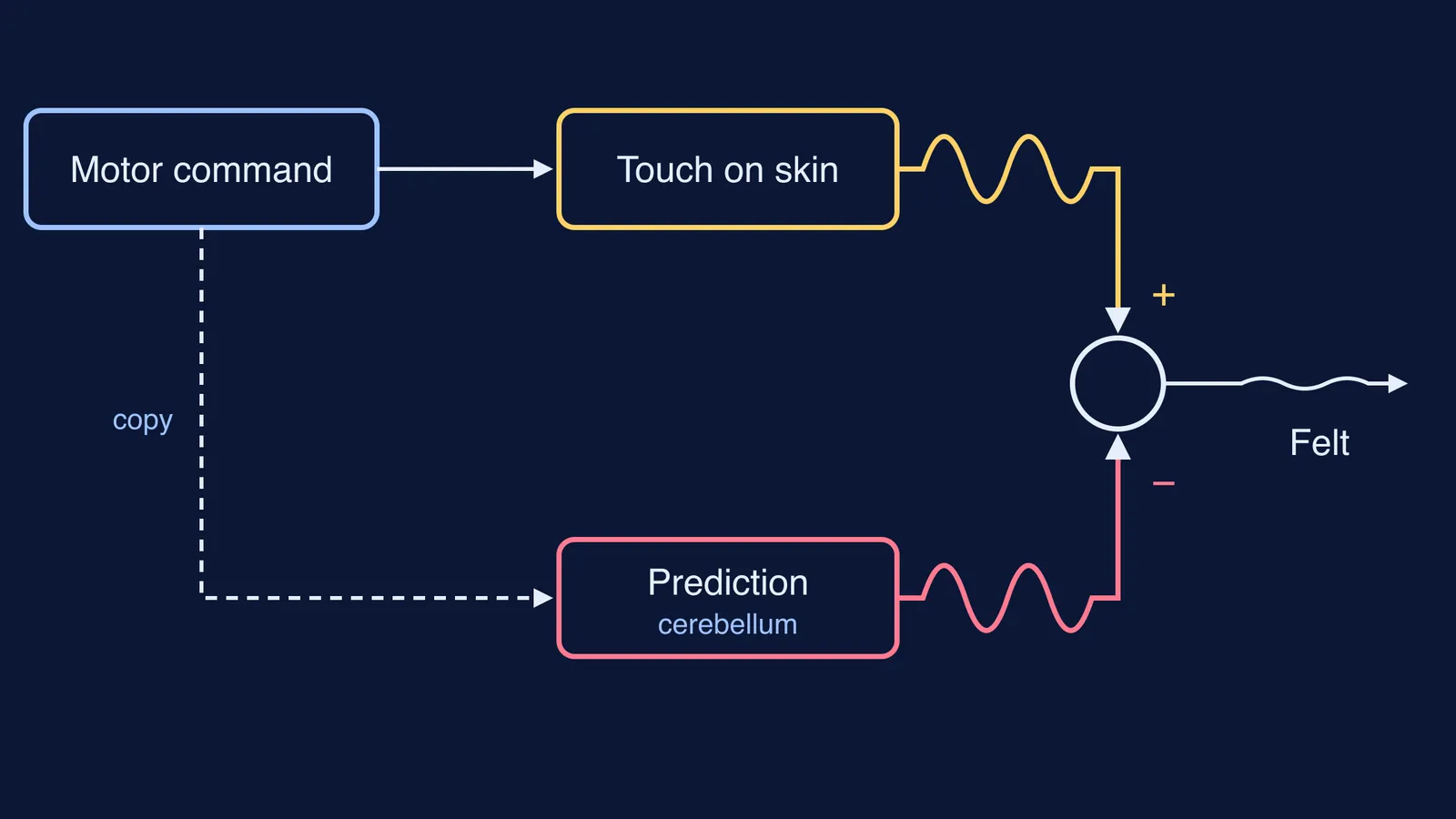 Diagram: the brain's predicted touch is subtracted from the actual touch