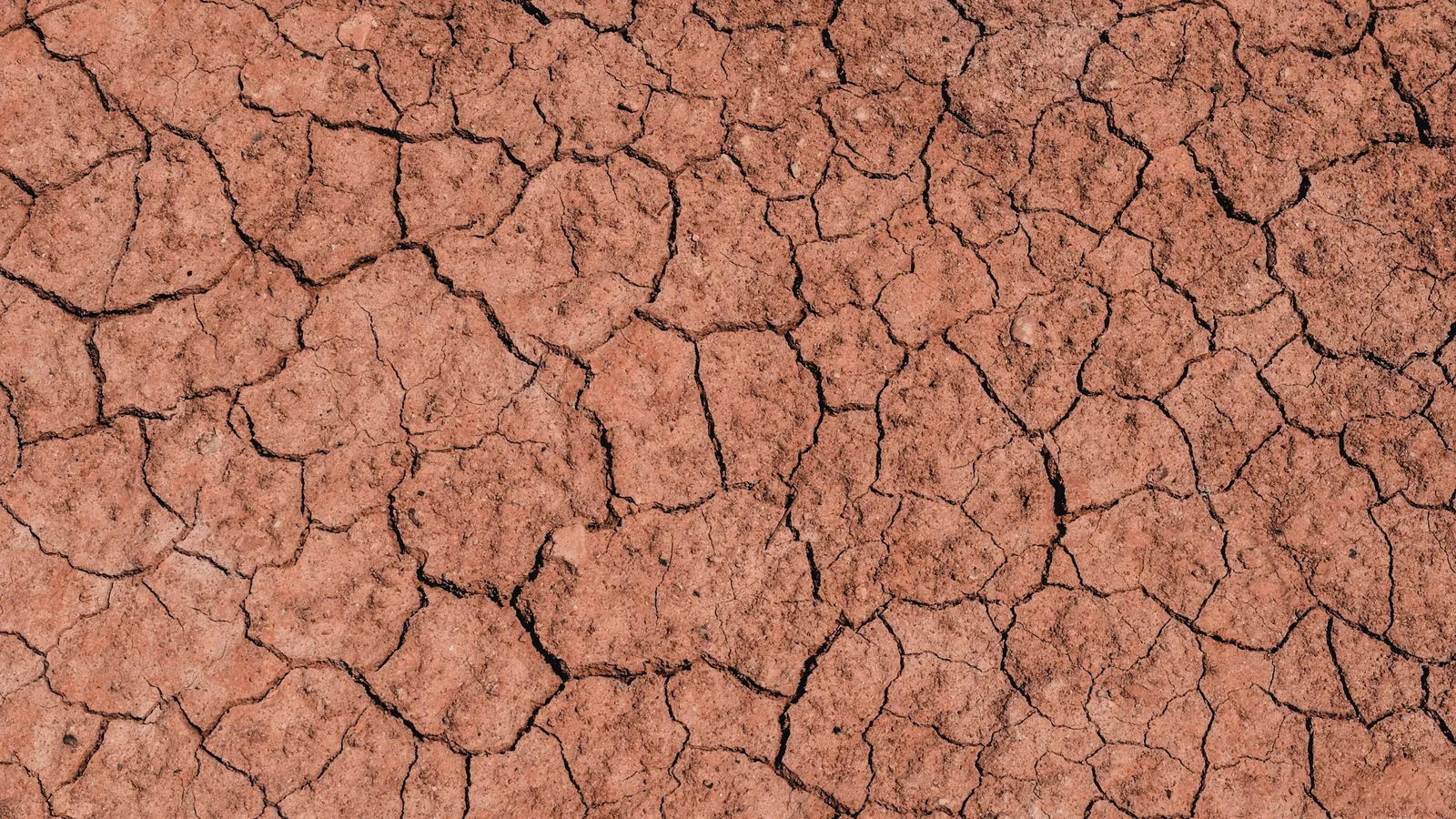 Dry cracked clay soil seen from above