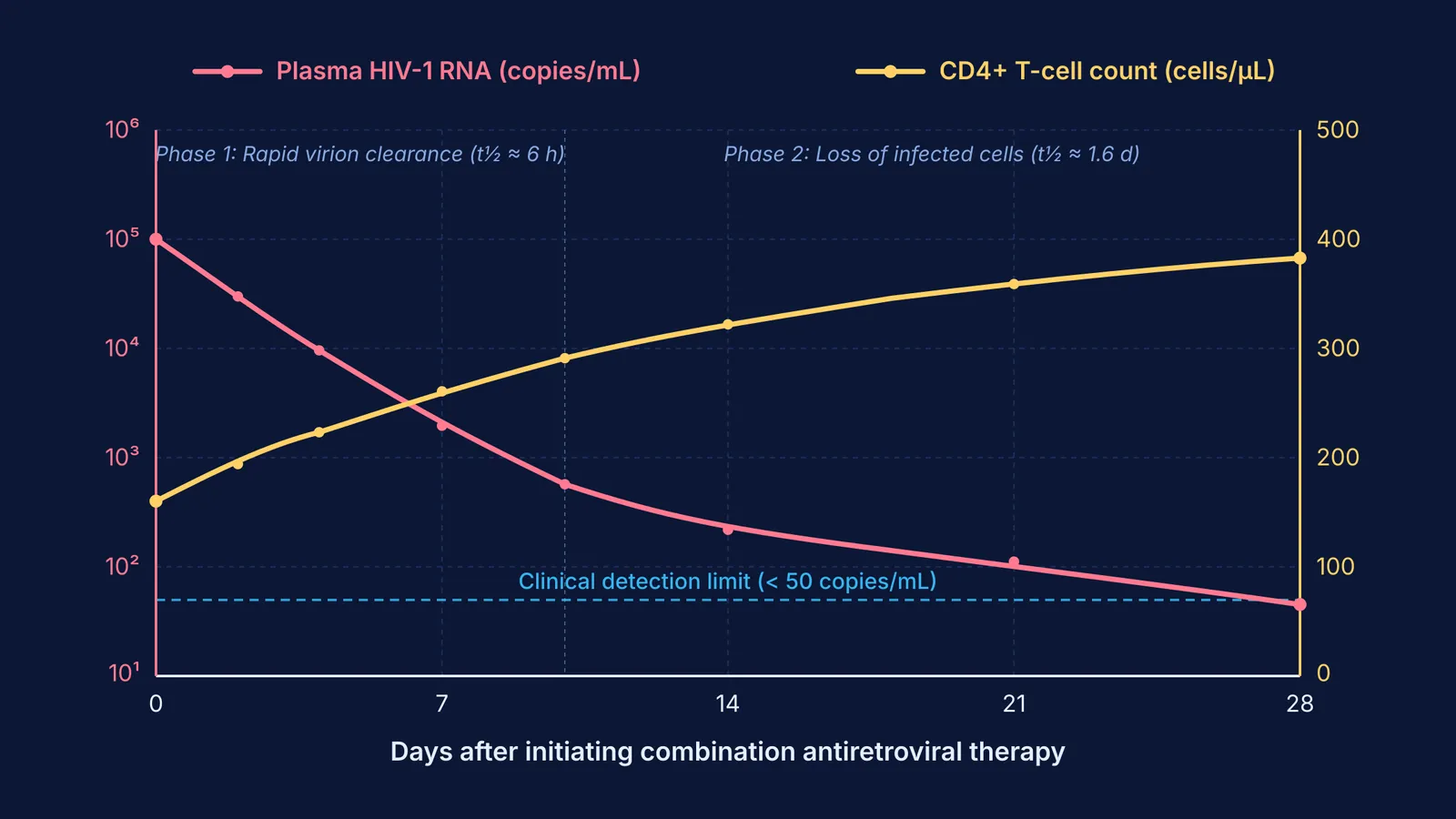 Dual-axis graph of plasma HIV RNA decay and CD4 cell recovery over 28 days