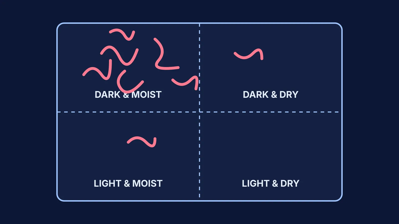 Earthworm choice chamber diagram showing dark, light, moist, and dry quadrants