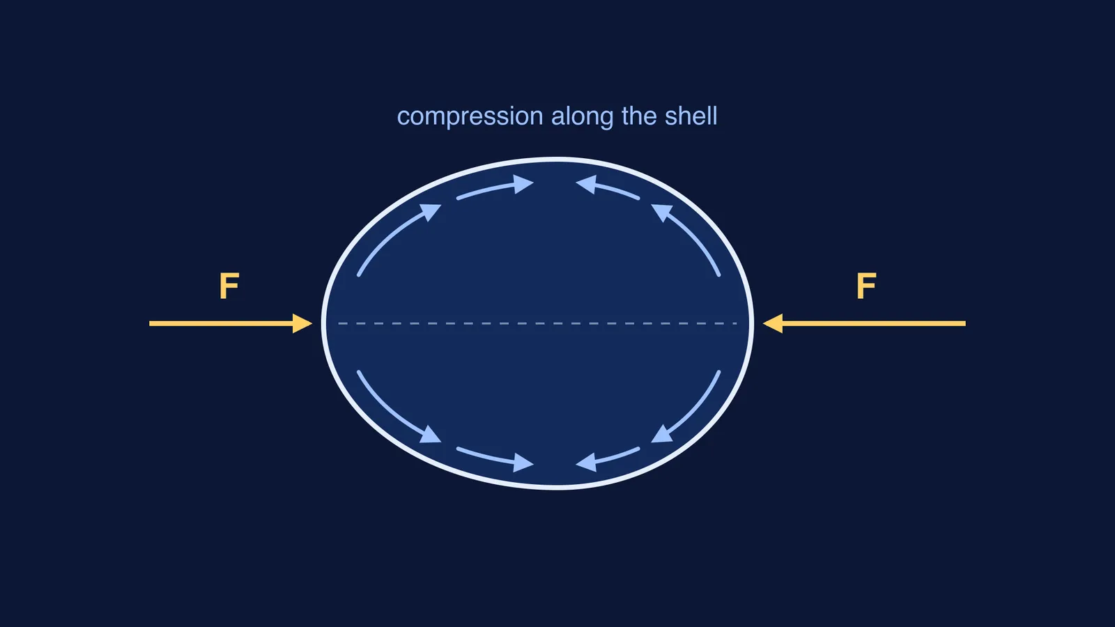Egg squeezed at both ends, with arrows showing compression flowing along the shell