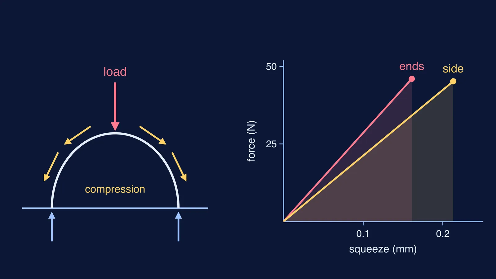 Eggshell dome carrying load as compression, beside force-squeeze lines for egg ends and side