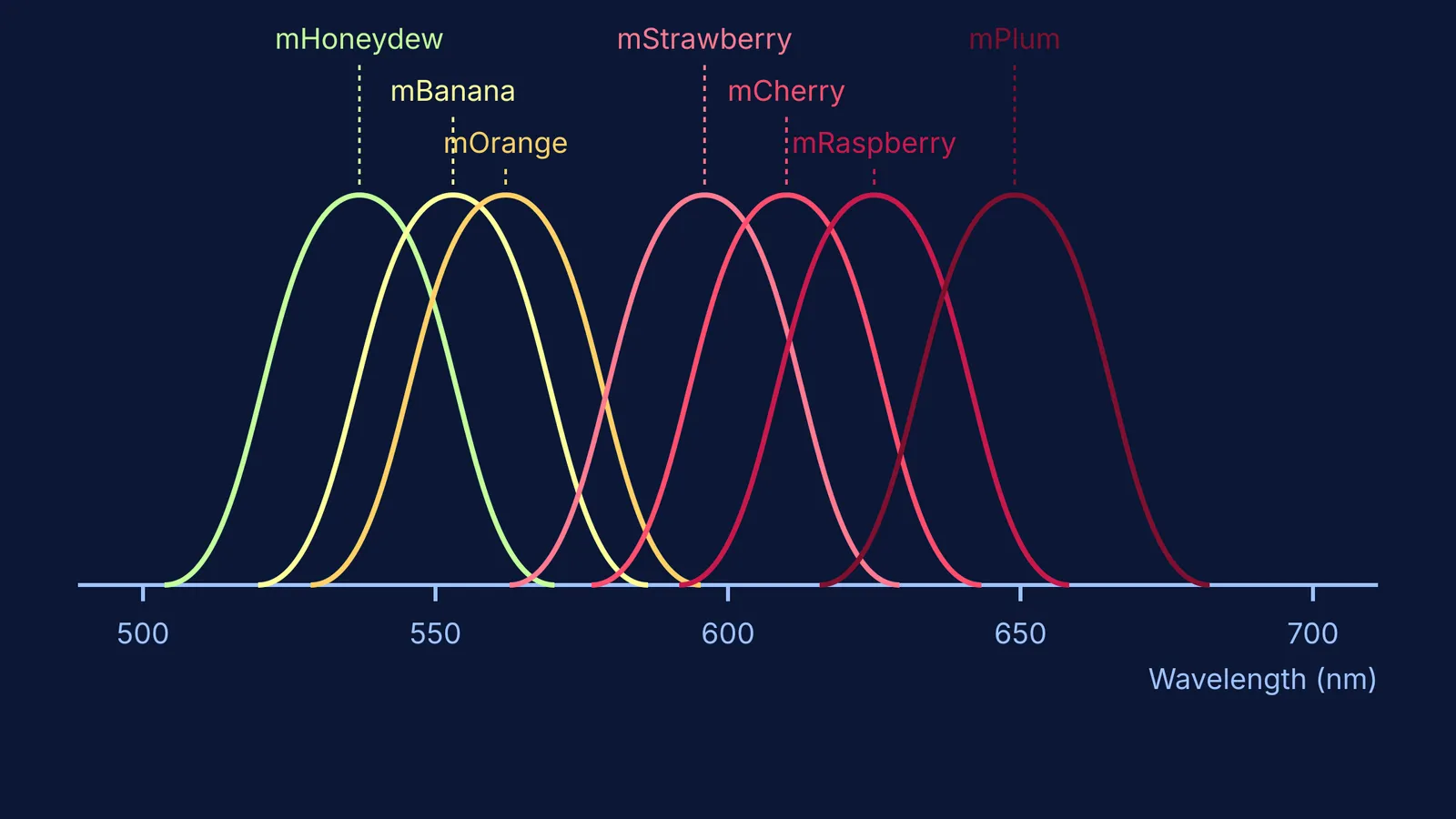 Emission spectra of the mFruit fluorescent proteins on a wavelength axis.