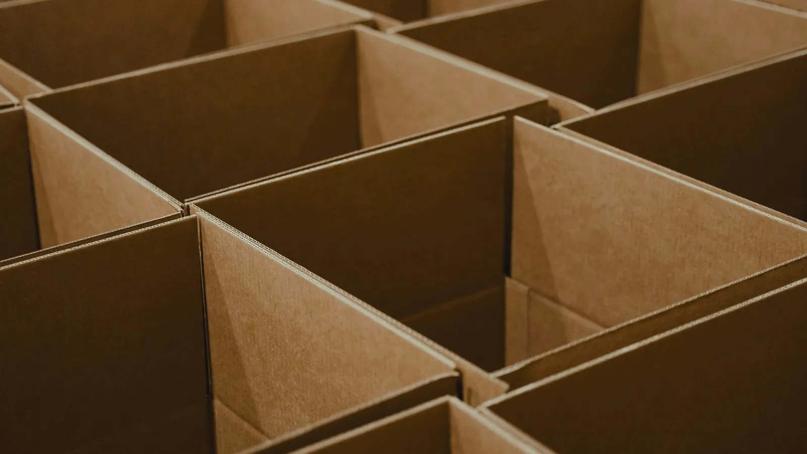 Empty cardboard box compartments seen from above
