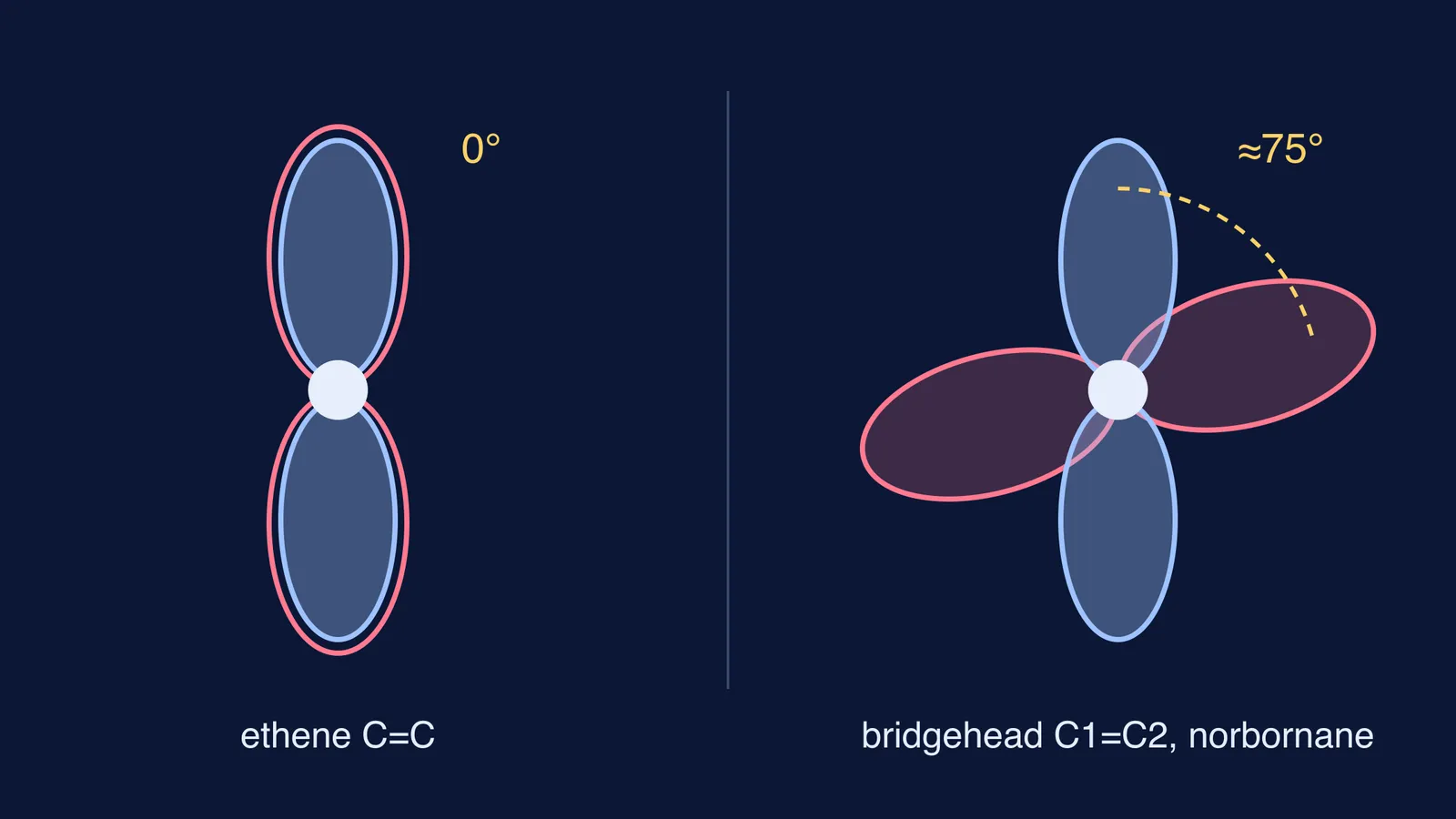 End-on view of p orbitals: parallel in ethene, twisted 75° at a bridgehead