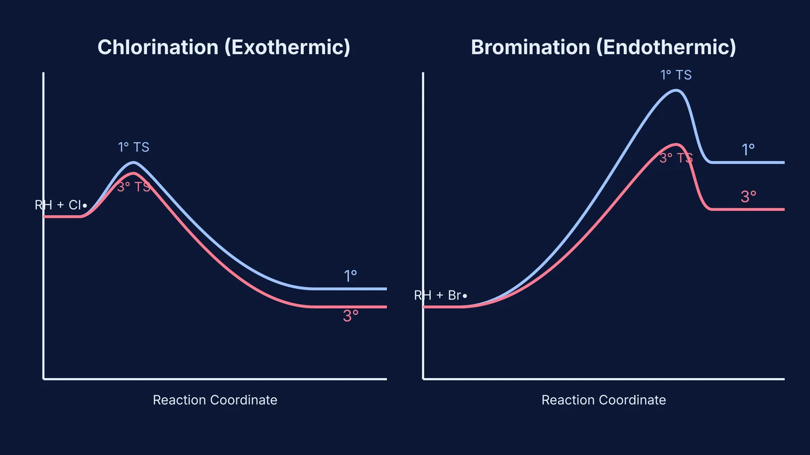 Energy diagrams comparing the early transition state of chlorination with the late transition state of bromination.