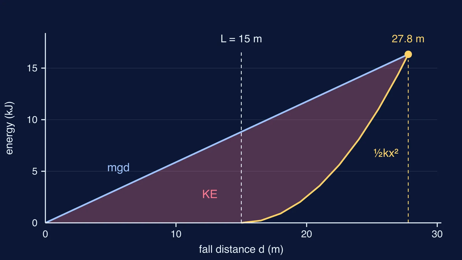 Energy graph of a bungee drop showing where cord energy meets gravity loss