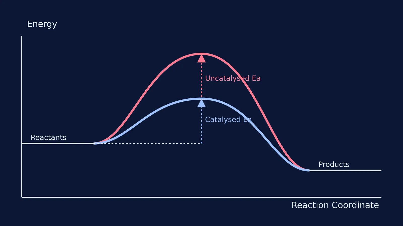Energy profile diagram showing a catalysed and an uncatalysed reaction pathway