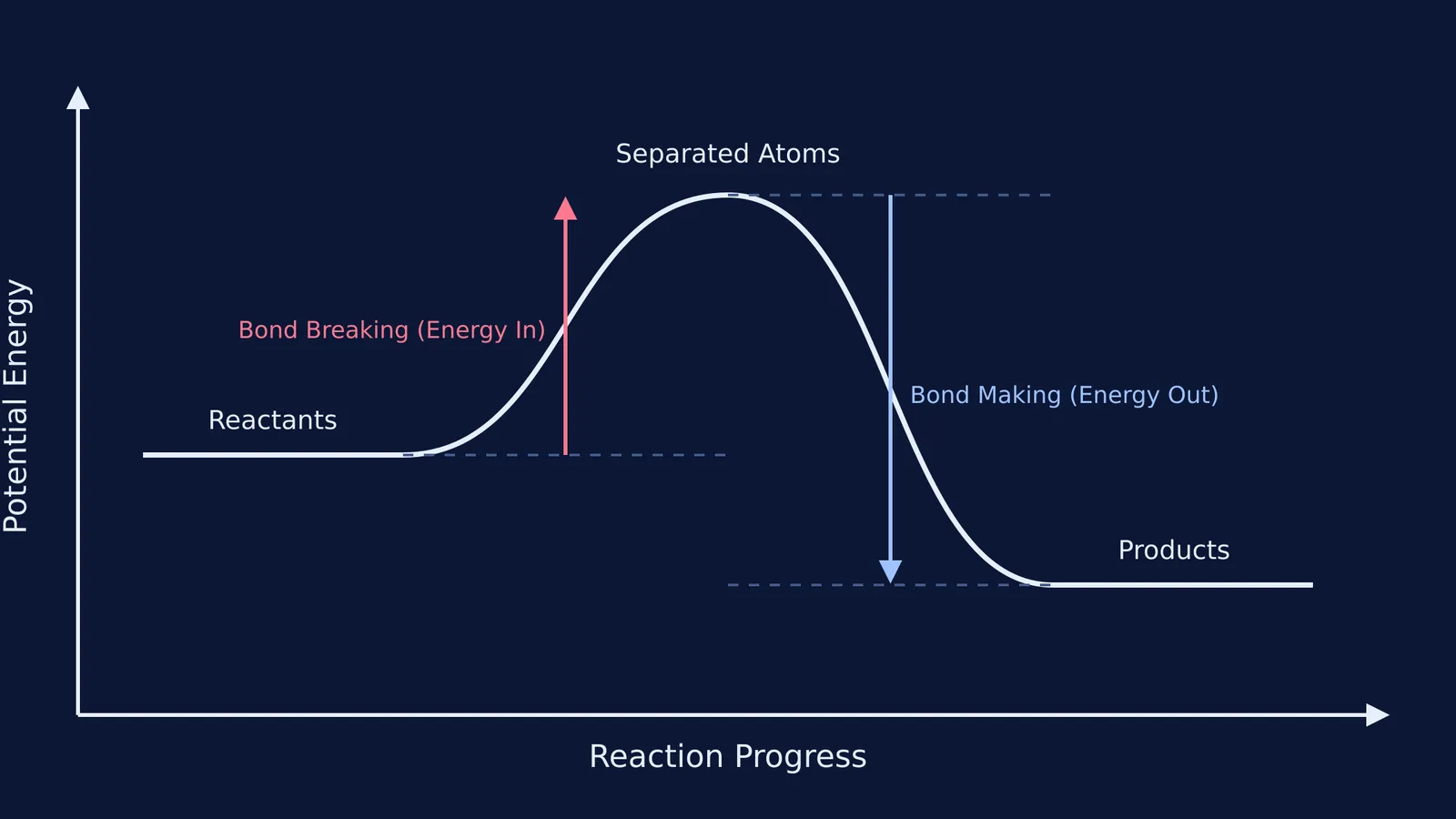 Energy profile diagram showing endothermic bond breaking and exothermic bond making