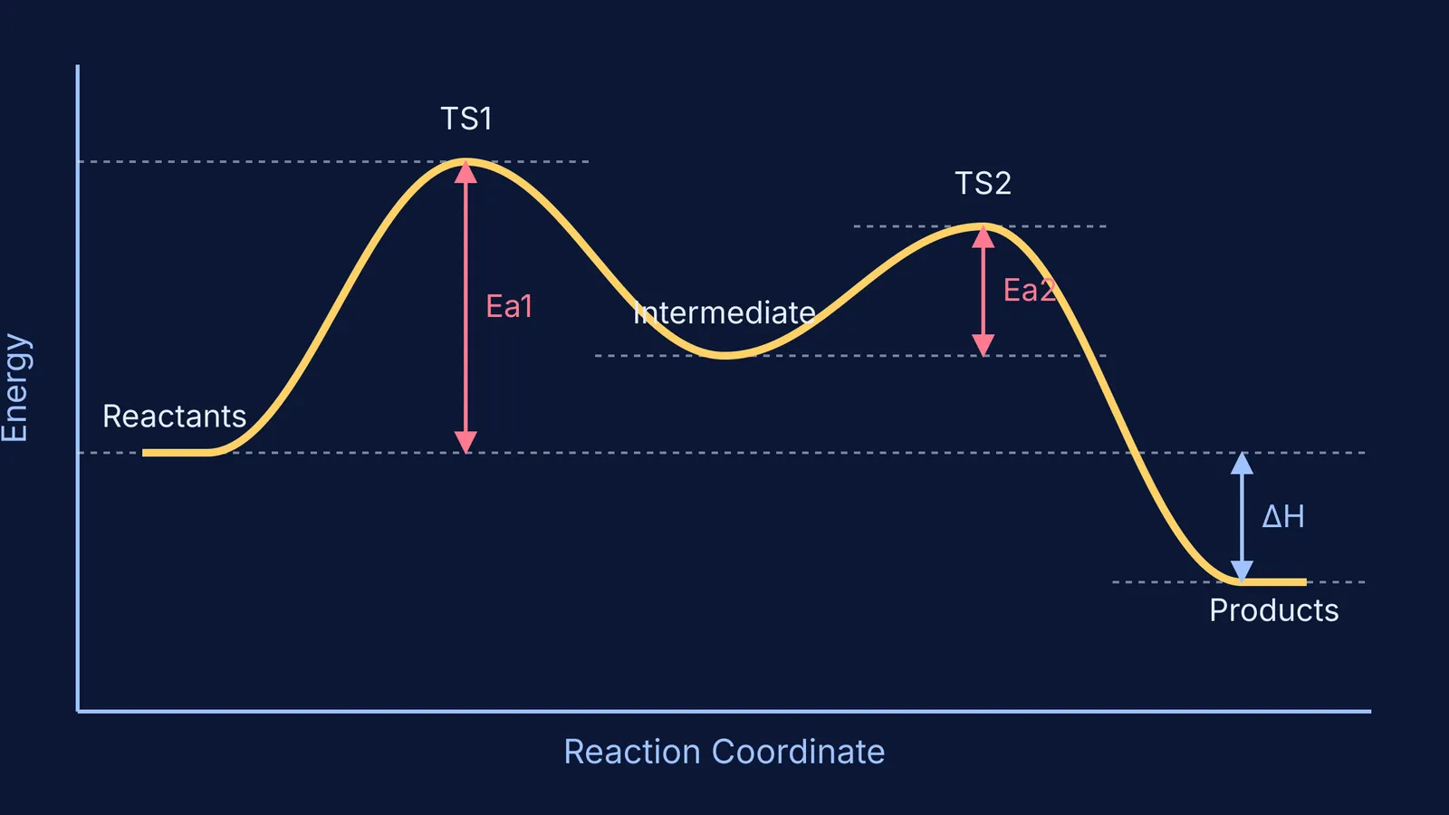 Energy profile showing reactants, transition states, intermediate and products