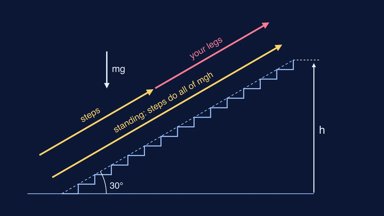 Escalator at 30 degrees showing who supplies the lift: steps versus legs