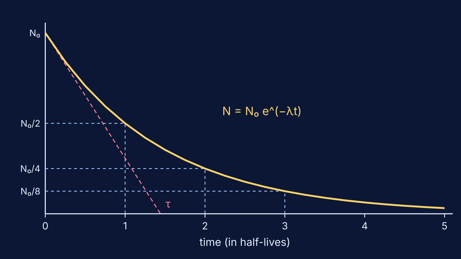 Exponential decay curve halving each half-life, with mean lifetime tangent marked