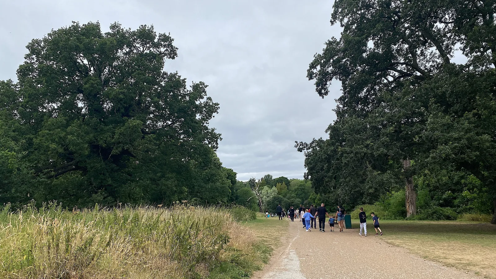 Families with children walking along a gravel path between large trees in a park