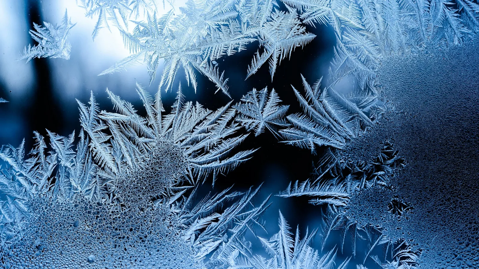 Feathery frost crystals on a cold window
