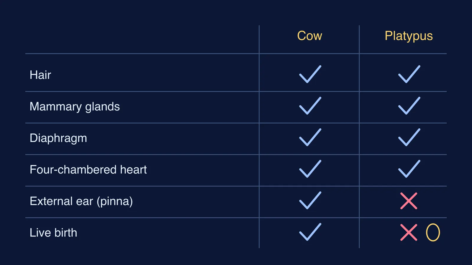 Feature checklist comparing a cow and a platypus across six mammal traits