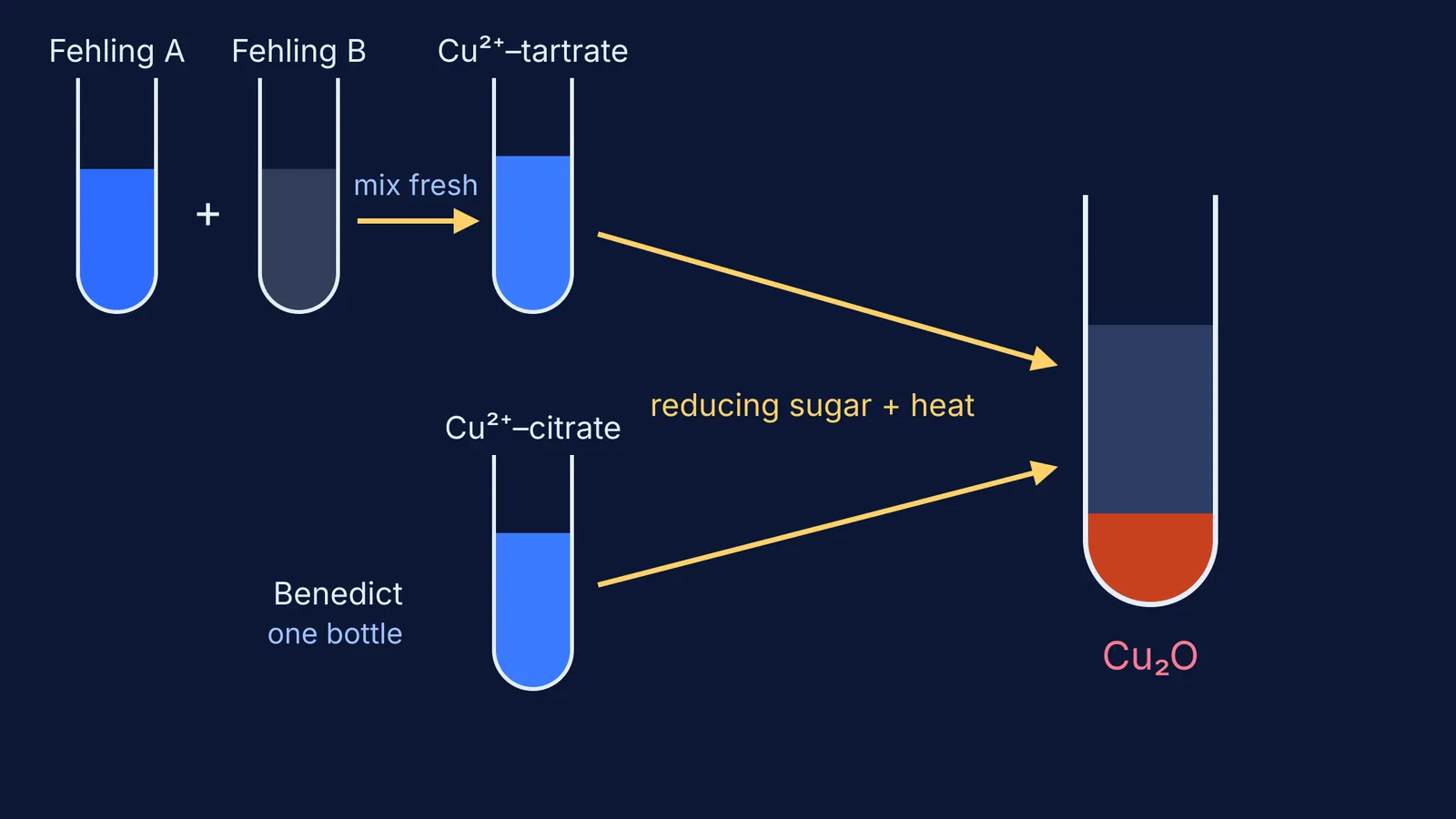 Fehling's two solutions and Benedict's one solution both giving red Cu2O
