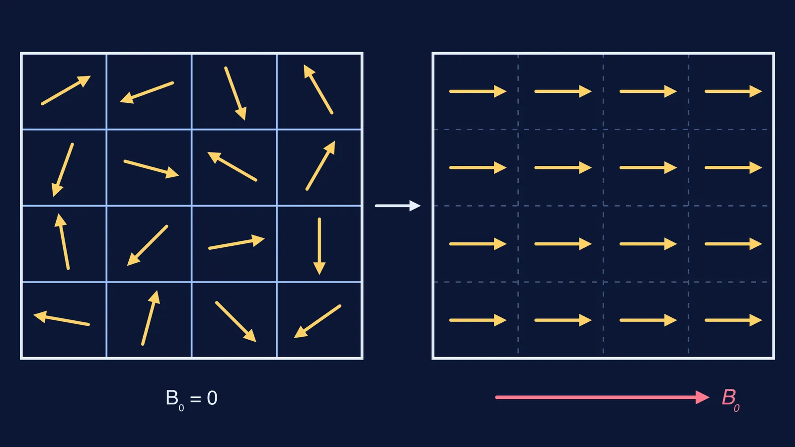 Ferromagnet domains pointing randomly with no field, then all aligned along an applied field
