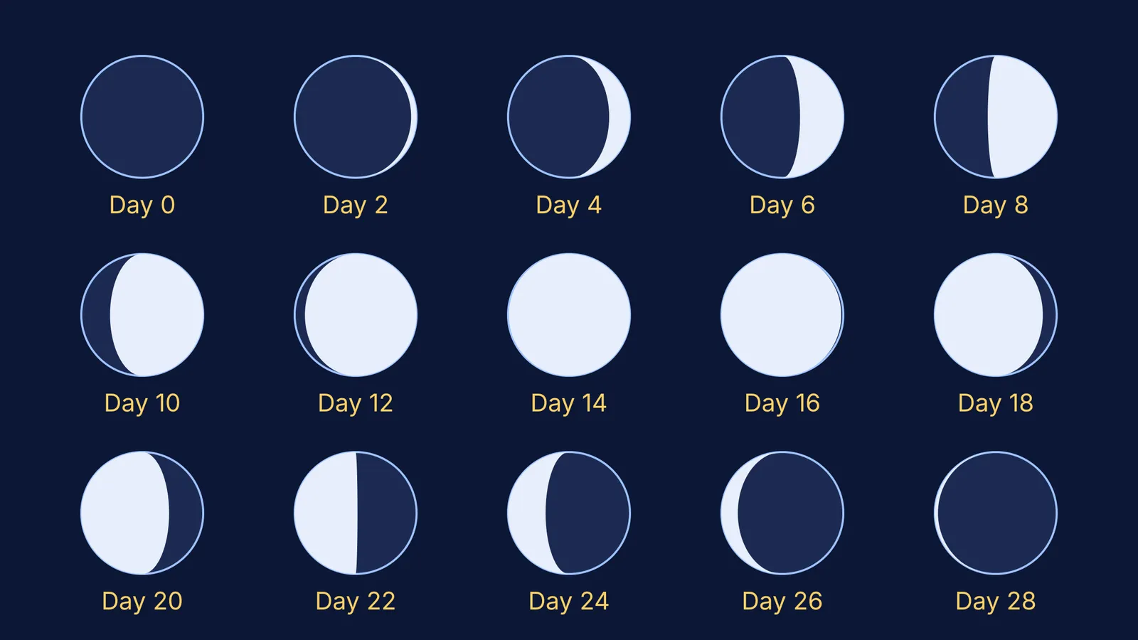Fifteen Moon drawings showing its phases every two days across one month