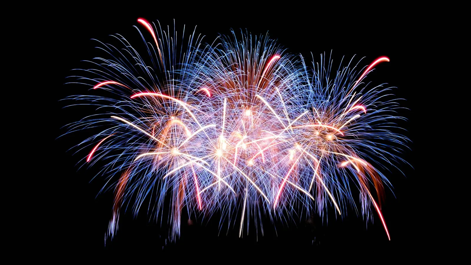Fireworks bursting outward against a night sky