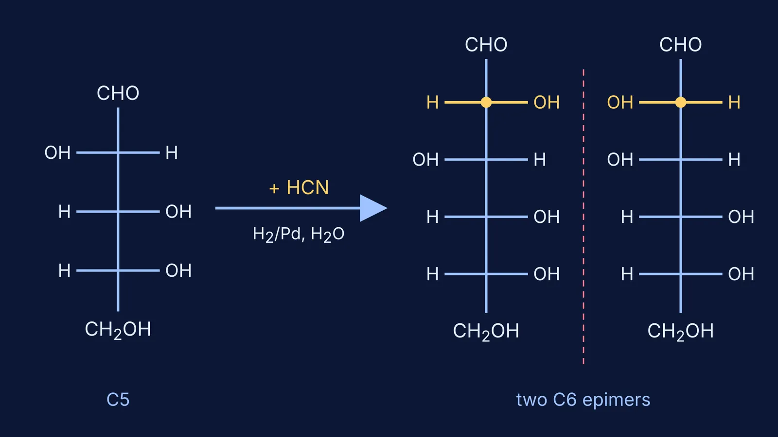 Fischer projections: D-arabinose plus HCN gives D-glucose and D-mannose, epimeric at C2