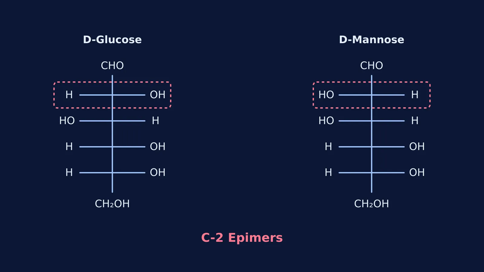 Fischer projections of D-glucose and D-mannose showing they differ only at carbon-2.