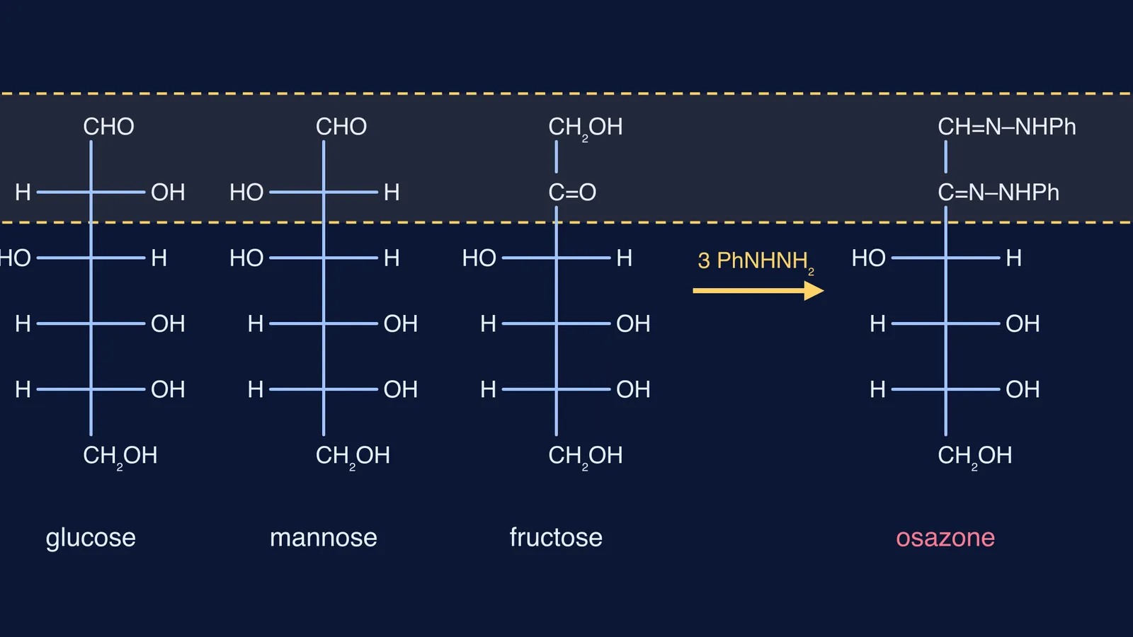 Fischer projections of glucose, mannose and fructose converging to one osazone